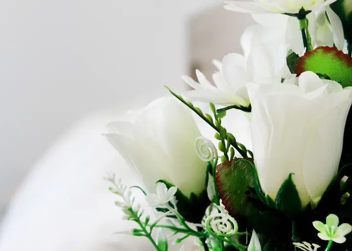 Aparthotel Bivalvia 3*