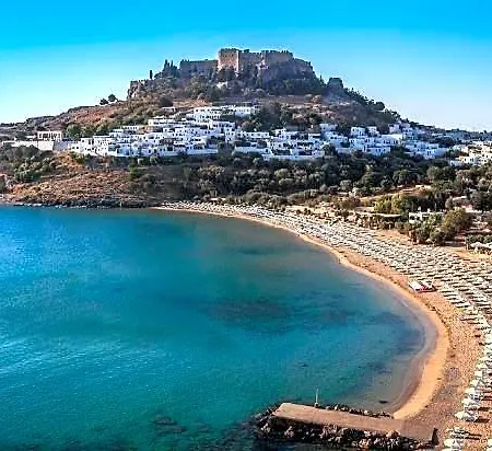 Bivalvia 3*