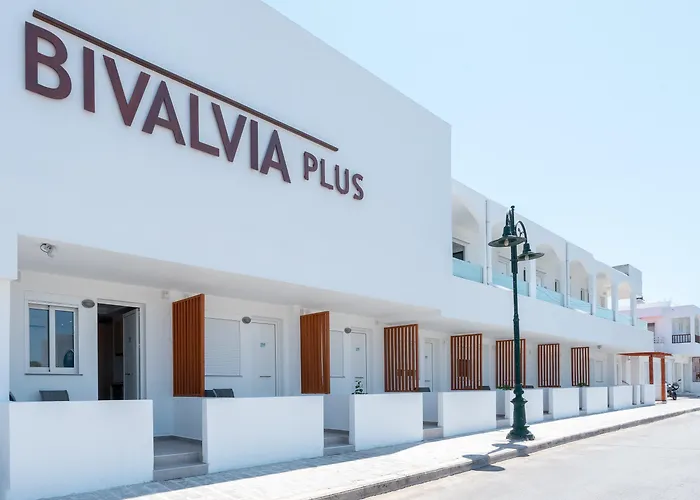 Bivalvia 팔리라키