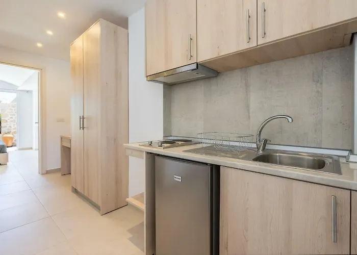 Bivalvia 팔리라키