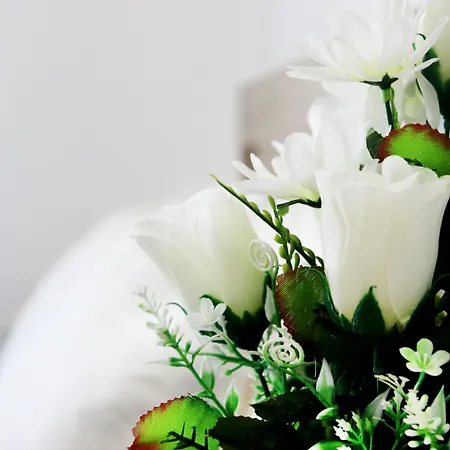 Hotel apartamentowy Bivalvia 3*